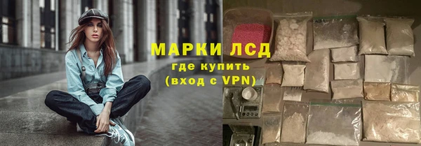 apvp Магадан