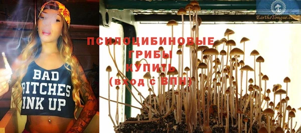 apvp Магадан