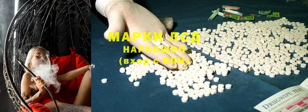 apvp Магадан