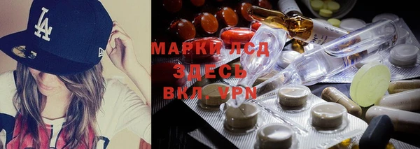 apvp Магадан