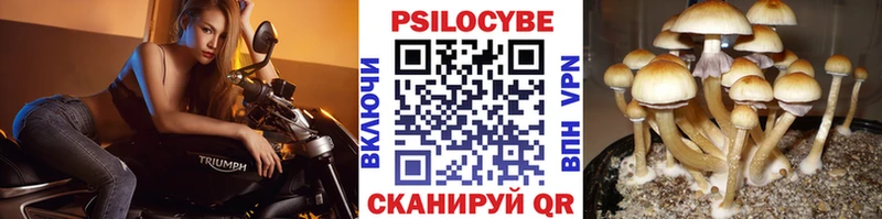 Галлюциногенные грибы прущие грибы Ильский