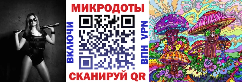 где продают наркотики Ильский Галлюциногенные грибы Psilocybine cubensis